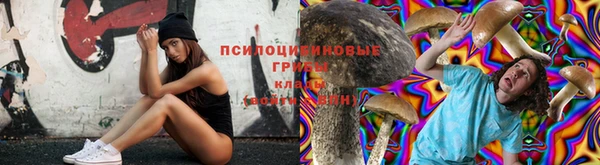 кокаин колумбия Лабытнанги