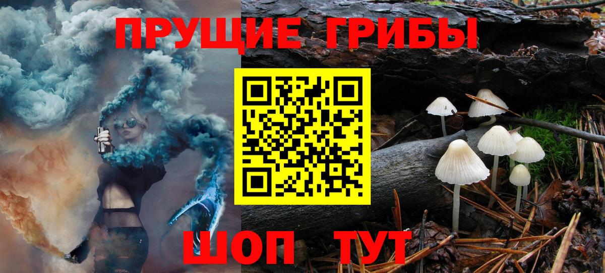 Галлюциногенные грибы Psilocybe  где купить наркоту  Иркутск 