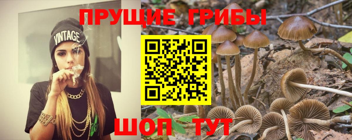 наркотики  Вход с VPN  Иркутск  Галлюциногенные грибы Magic Shrooms 
