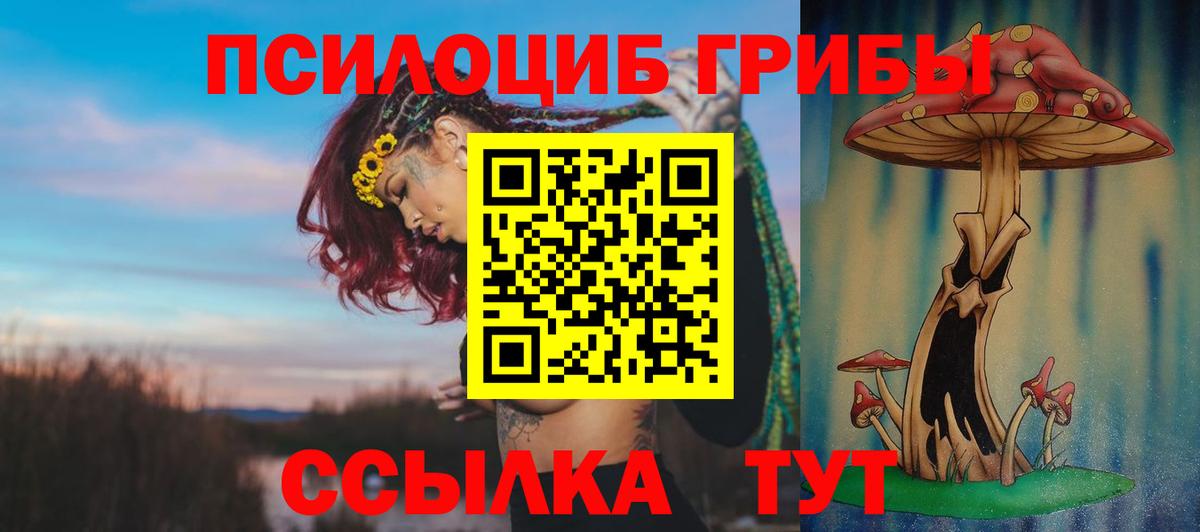 Галлюциногенные грибы GOLDEN TEACHER Иркутск